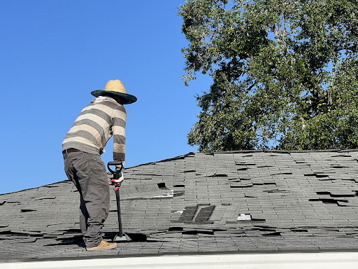 Photo from customer review