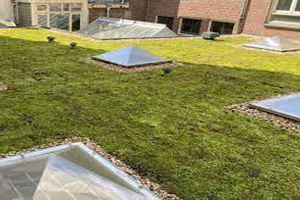 Green Roofing Systems